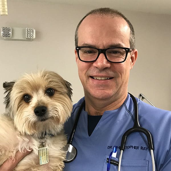 Dr. Chris Ray, Hermitage Veterinarian