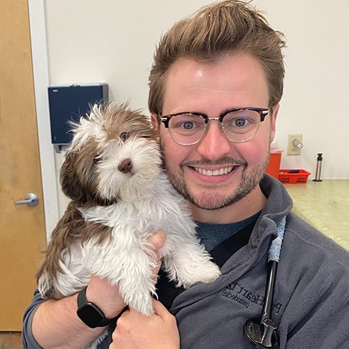 Meet Dr. Josh Good, Hermitage Vet Meet Dr. Josh Good, Hermitage Vet